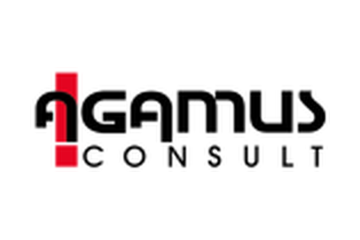 Agamus Consult